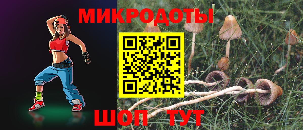 Галлюциногенные грибы Cubensis Нововоронеж