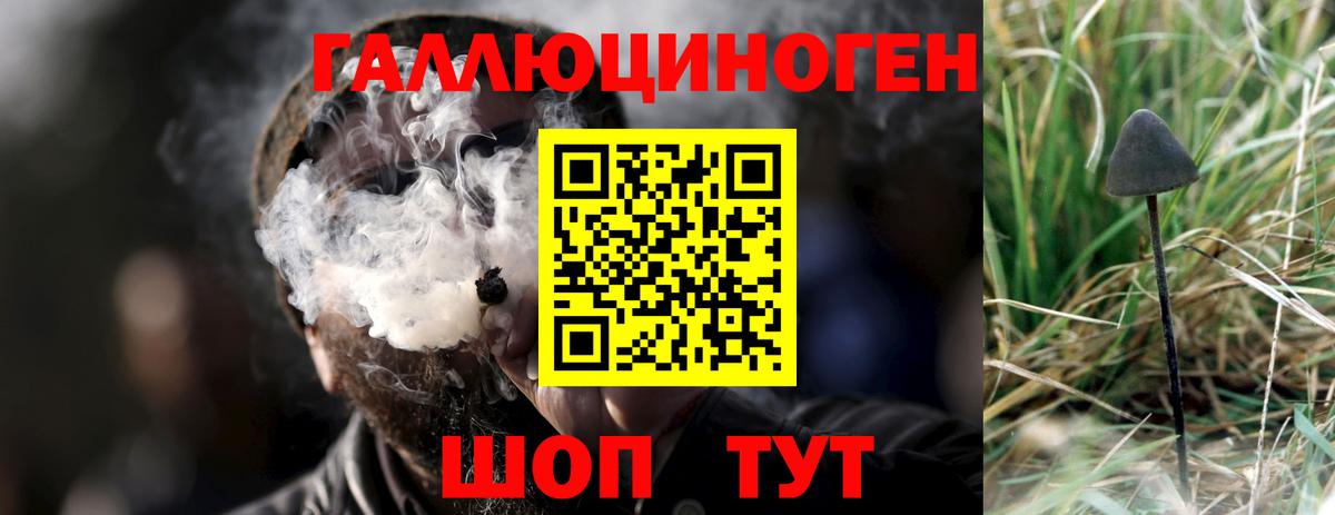 Галлюциногенные грибы мухоморы  Вход с VPN  Нововоронеж 